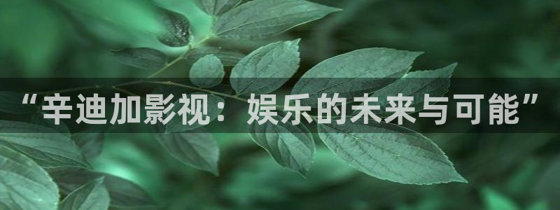 免费观看西瓜电影