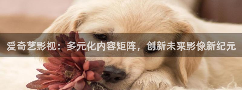 西瓜电影在线高清播放