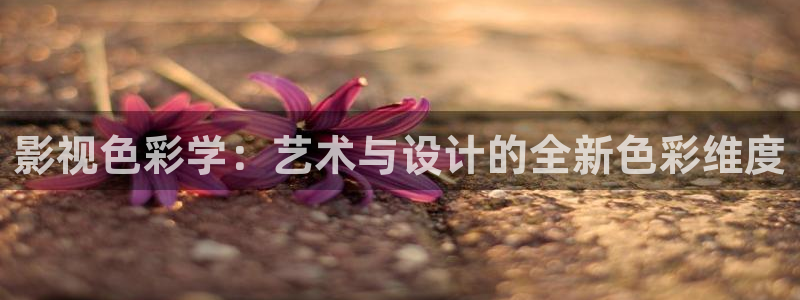 飘雪西瓜电影完整版在线观看