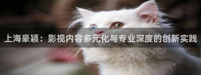 少年白马醉春风西瓜影院